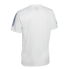 Футболка SELECT Pisa player shirt s/s White-Blue